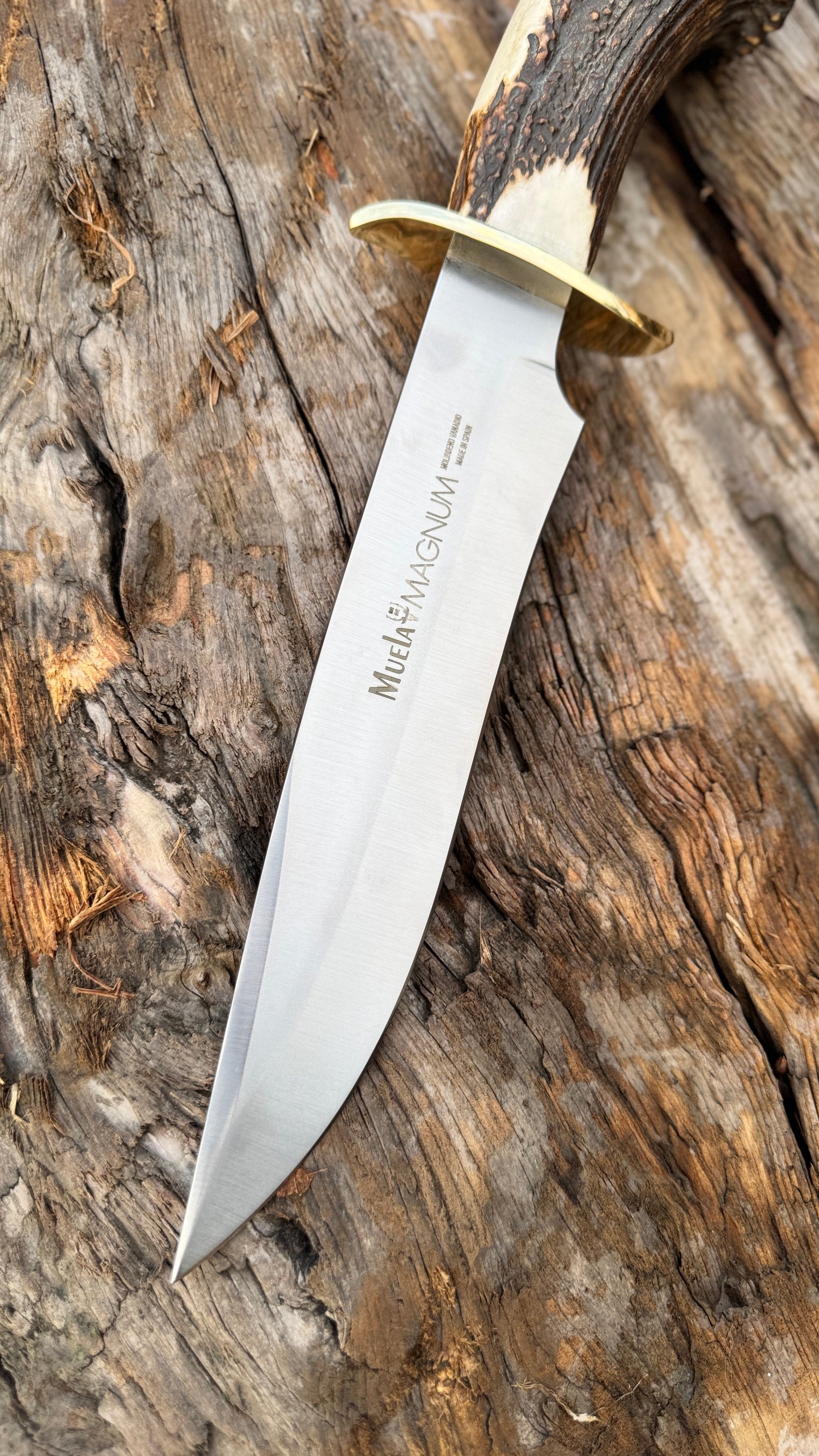 Muela Magnum Bowie Knife – Stag Antler Handle with Leather Sheath Unique Blades Runner