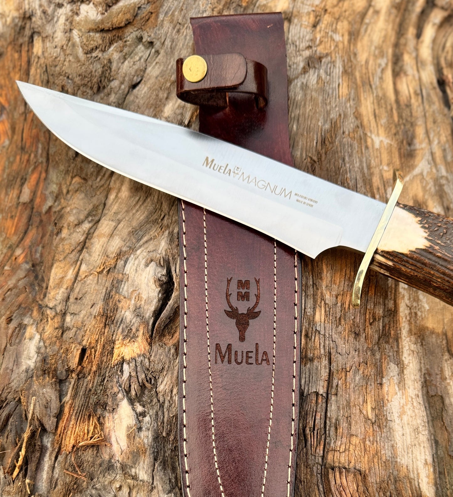 Muela Magnum Bowie Knife – Stag Antler Handle with Leather Sheath Unique Blades Runner