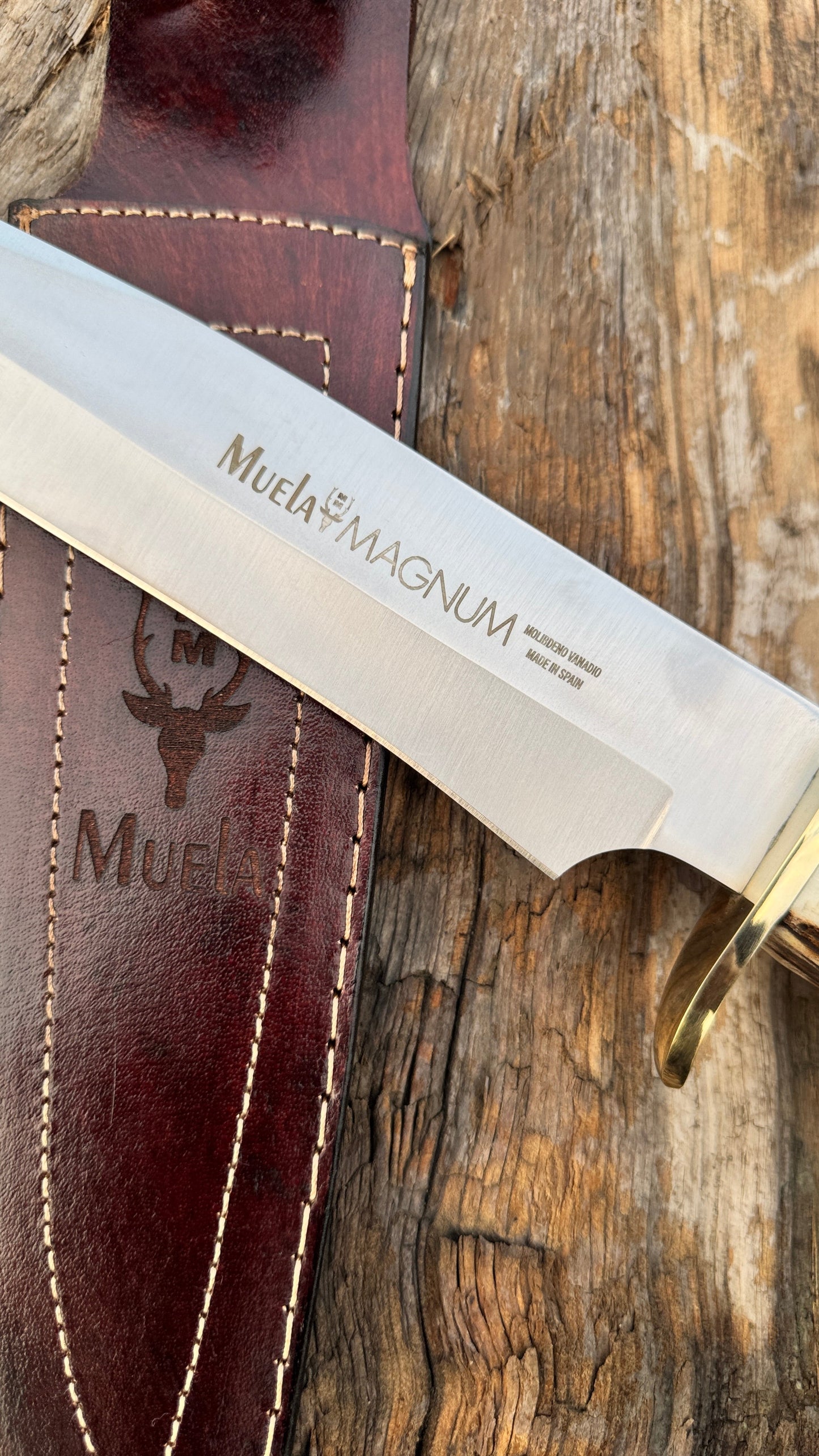 Muela Magnum Bowie Knife – Stag Antler Handle with Leather Sheath Unique Blades Runner
