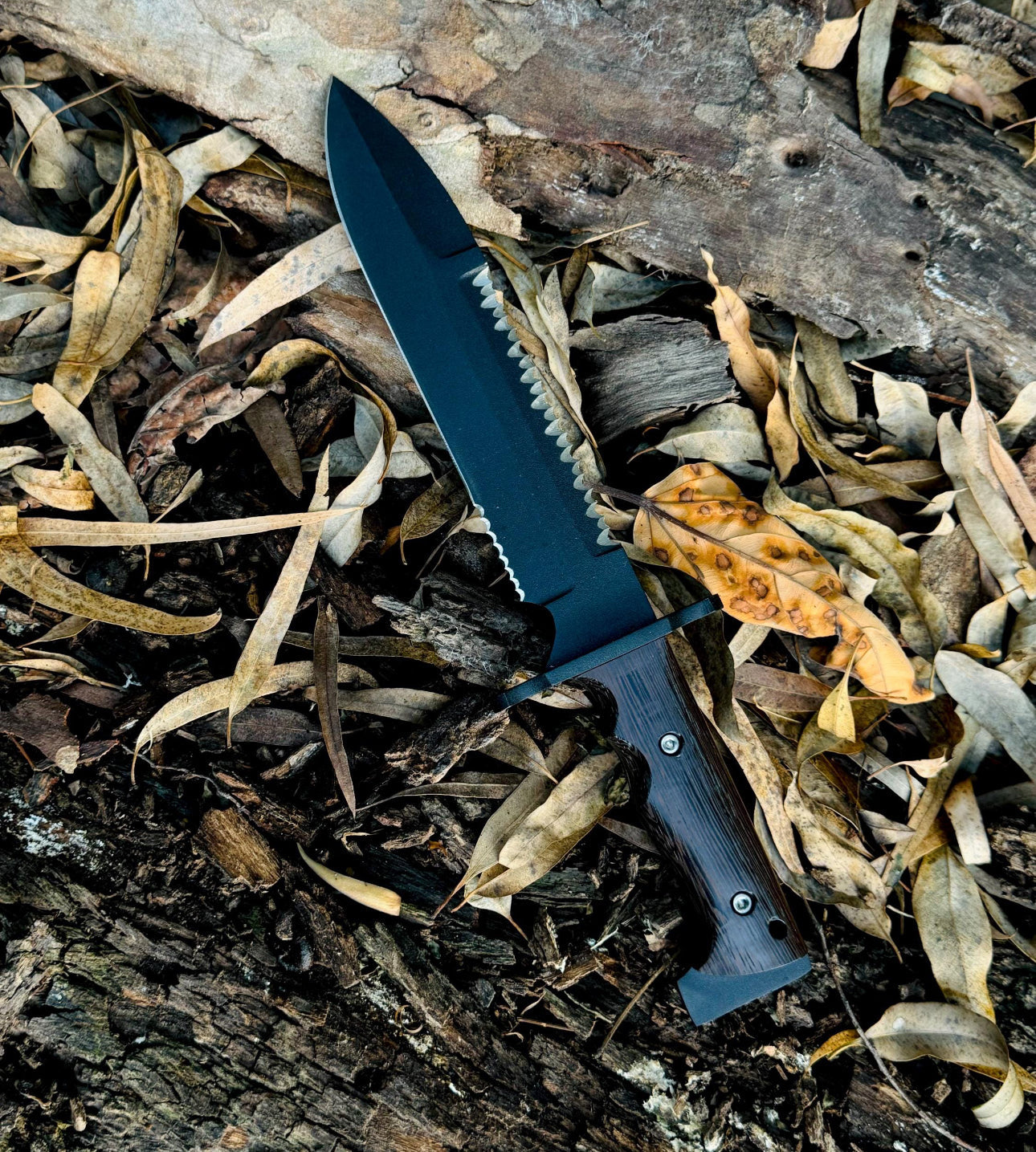 Sawback Bowie Knife Full Tang – Survival Blade with Wenge Wood Grip Unique Blades Runner