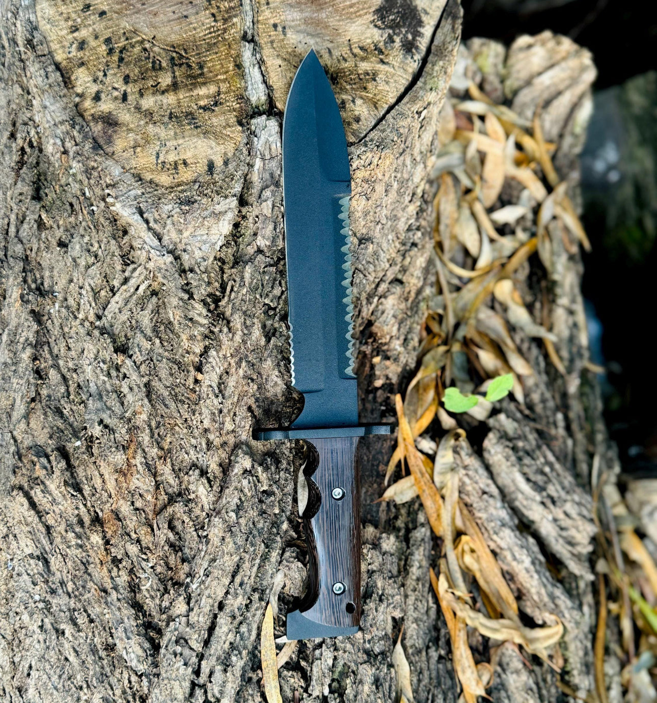 Sawback Bowie Knife Full Tang – Survival Blade with Wenge Wood Grip Unique Blades Runner