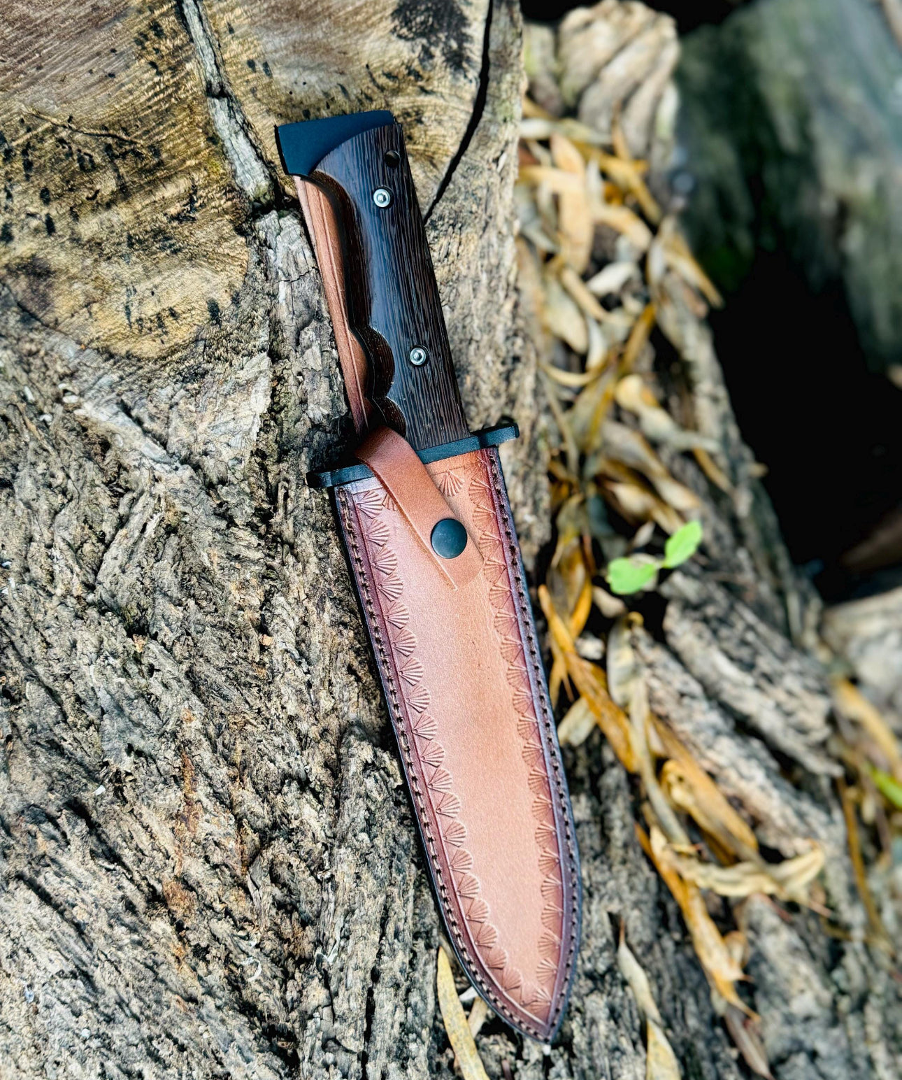 Sawback Bowie Knife Full Tang – Survival Blade with Wenge Wood Grip Unique Blades Runner