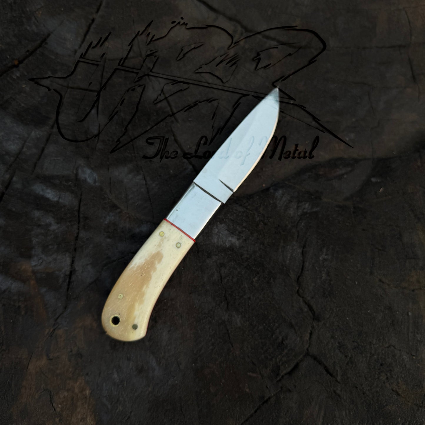 Hunting Skinner Knife - D2 Tool Steel with Camel Bone Handle Unique Blades Runner