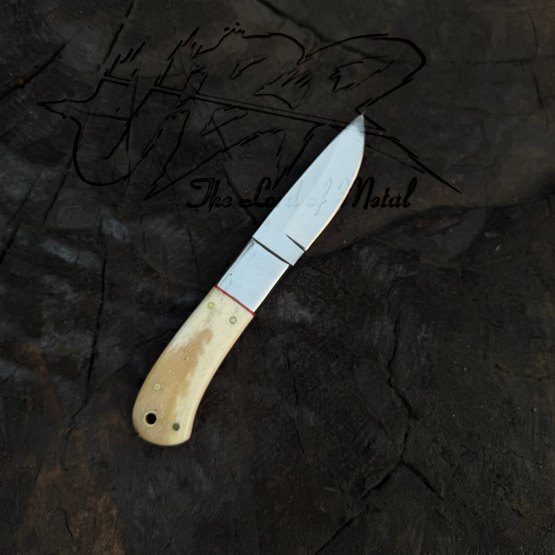 Hunting Skinner Knife - D2 Tool Steel with Camel Bone Handle Unique Blades Runner