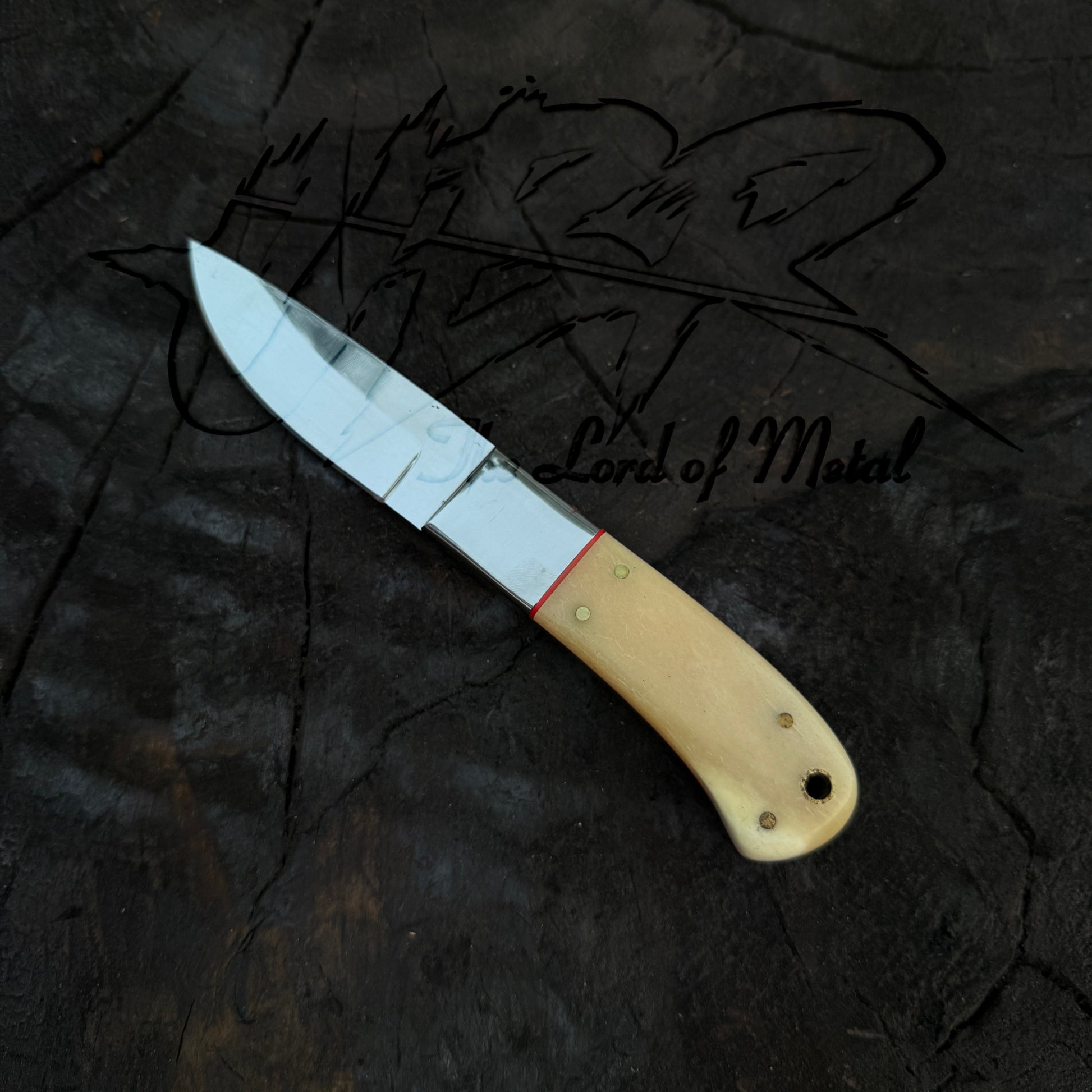 Hunting Skinner Knife - D2 Tool Steel with Camel Bone Handle Unique Blades Runner