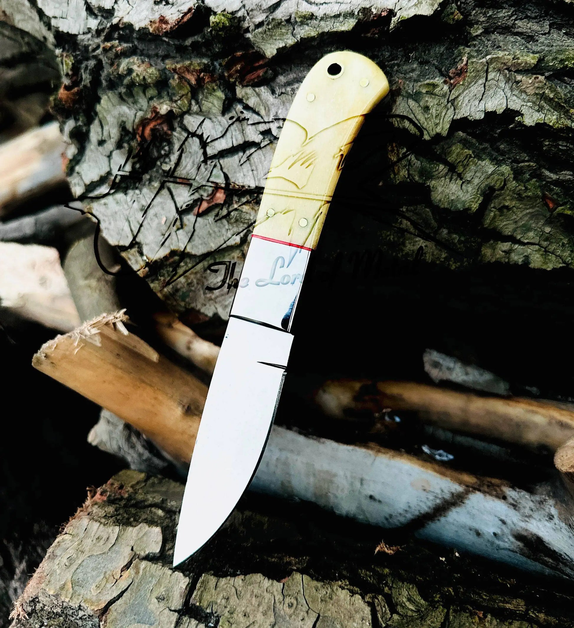 Custom Handmade D2 Steel Hunting Skinner Knife with Camel Bone Handle