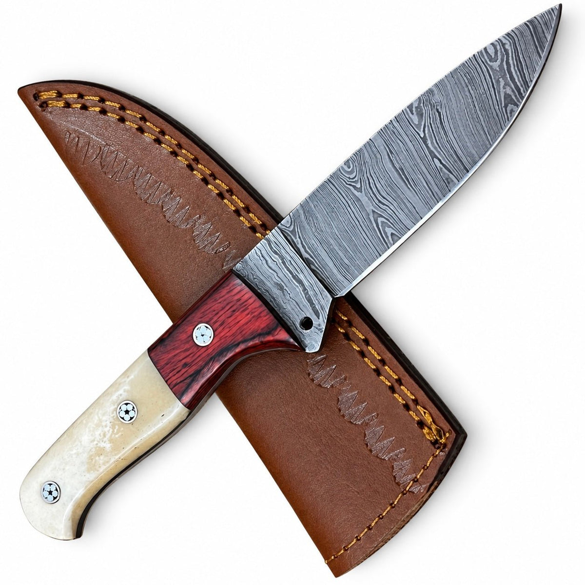 Drop point hunting knife with camel bone and red wood two-tone handle

