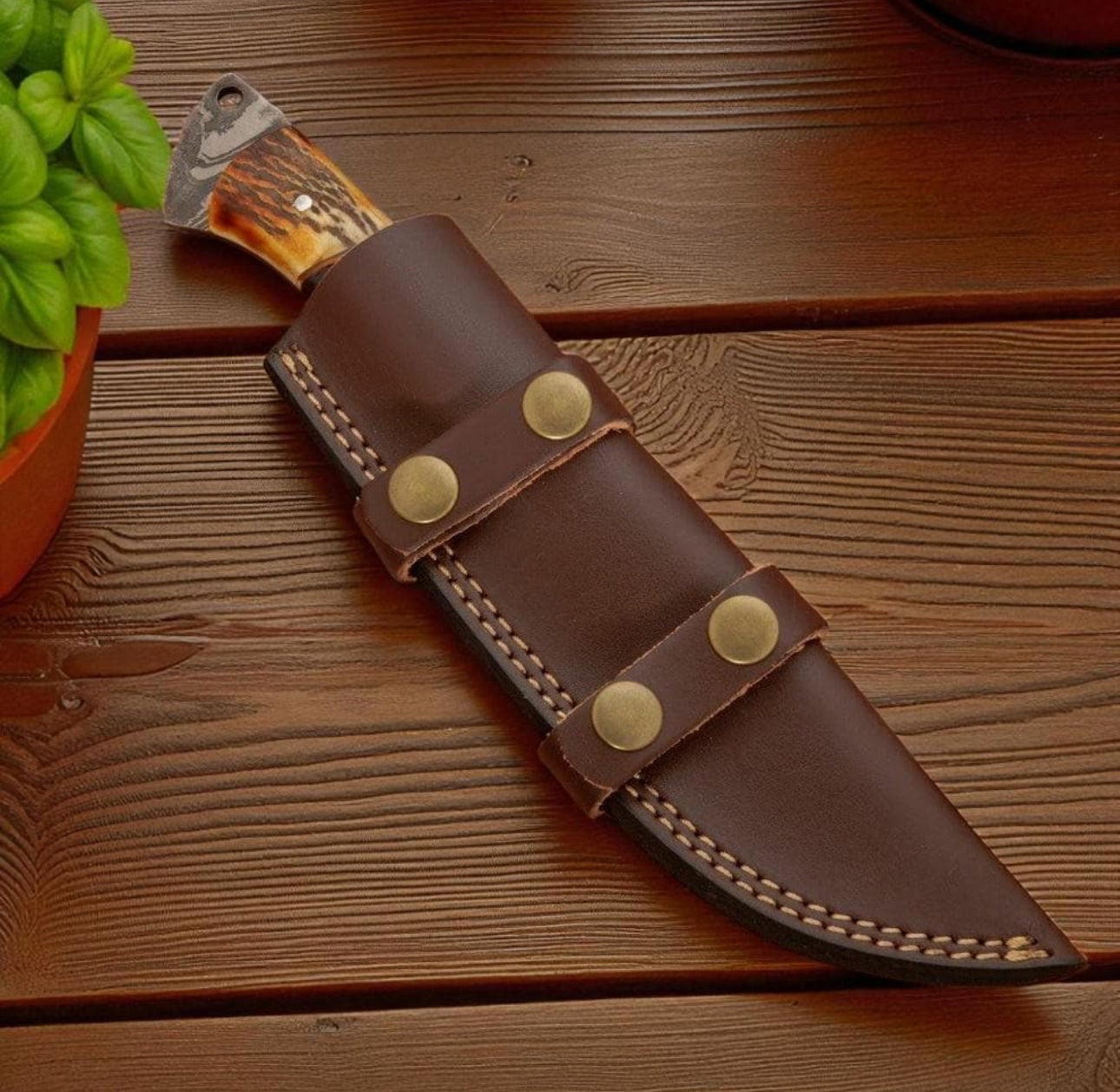 Damascus Hunting Knife with Stag Handle & Eagle Cutout Blade Unique Blades Runner