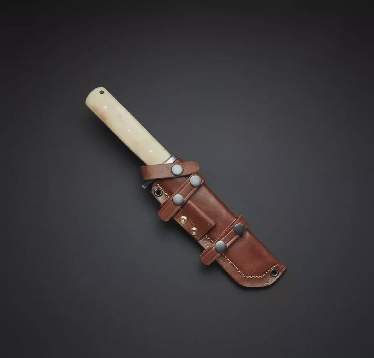 Hand-Forged Japanese Tanto Knife with Bone Handle & Leather Sheath Unique Blades Runner
