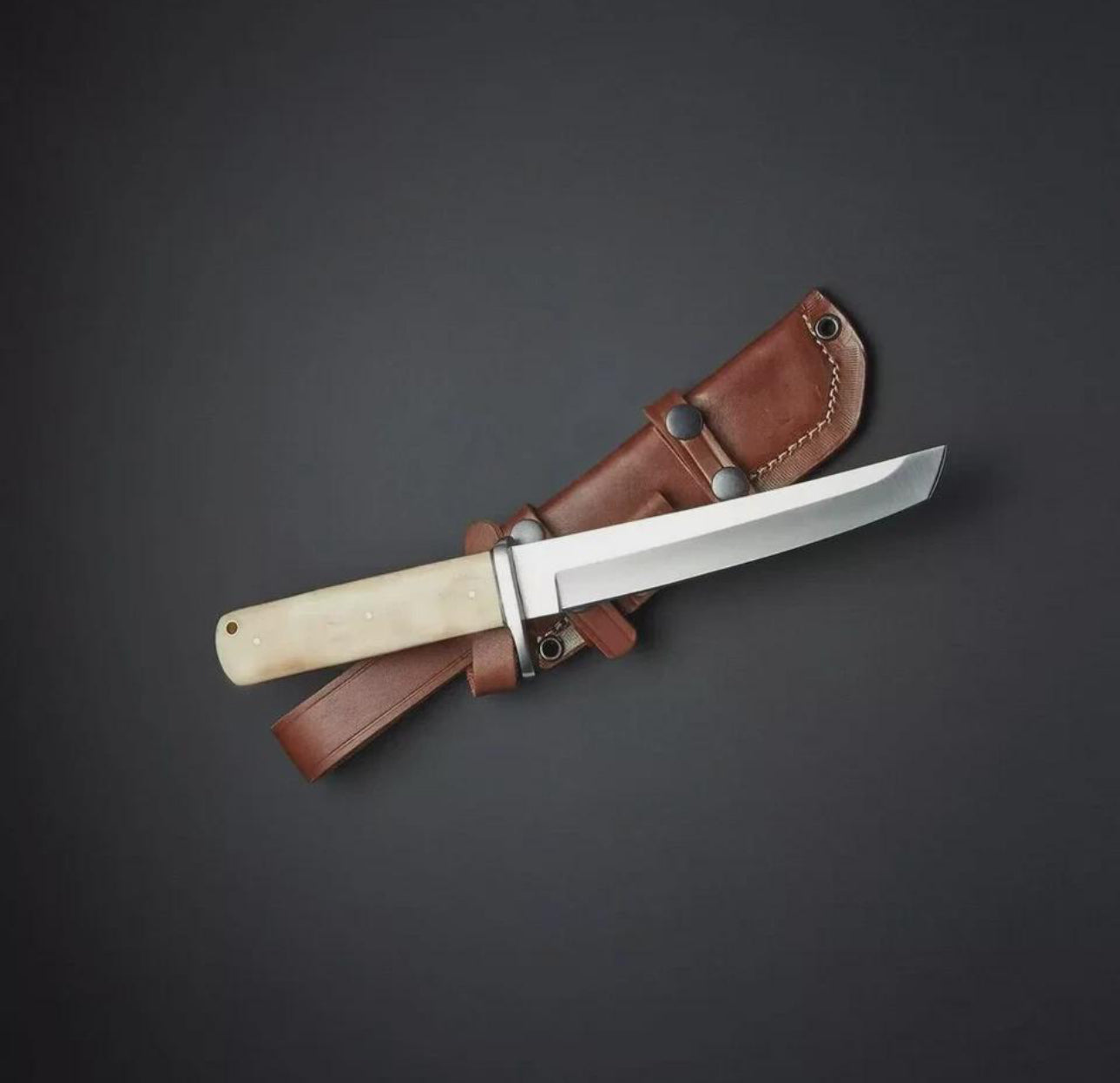 Hand-Forged Japanese Tanto Knife with Bone Handle & Leather Sheath Unique Blades Runner