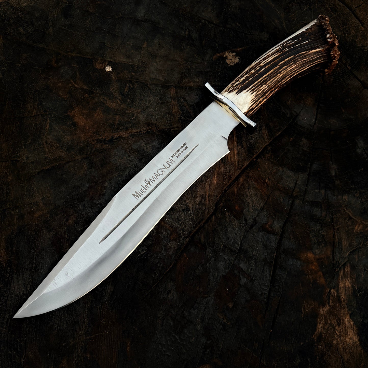 Muela Magnum 26 Stag Handle Bowie Knife – Spanish Classic Fixed Blade Unique Blades Runner