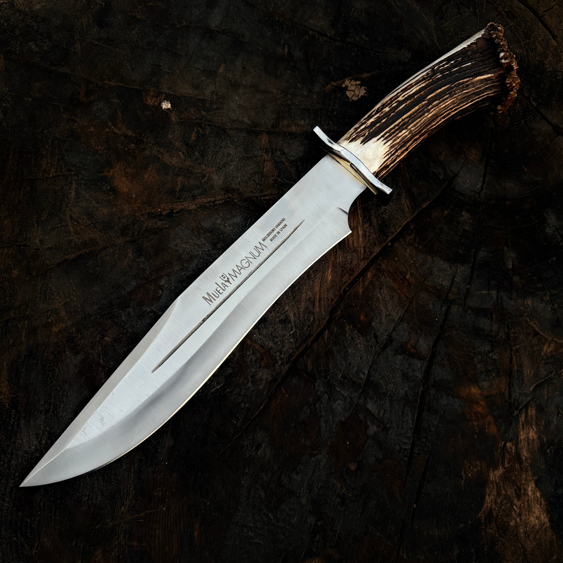 Muela Magnum 26 Stag Handle Bowie Knife – Spanish Classic Fixed Blade Unique Blades Runner