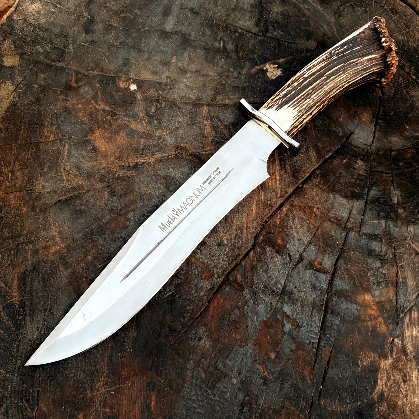 Muela Magnum 26 Stag Handle Bowie Knife – Spanish Classic Fixed Blade Unique Blades Runner