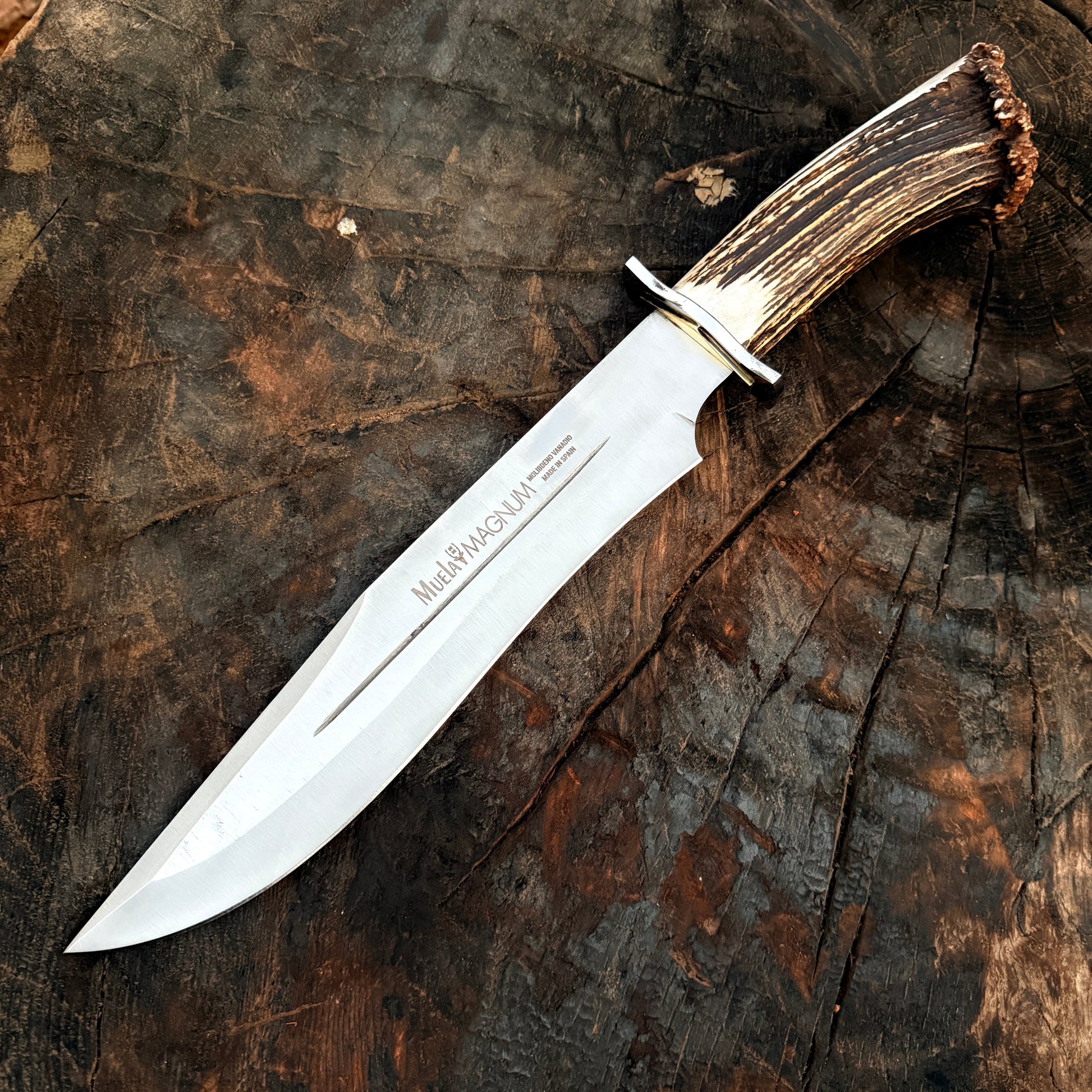 Muela Magnum 26 Stag Handle Bowie Knife – Spanish Classic Fixed Blade Unique Blades Runner
