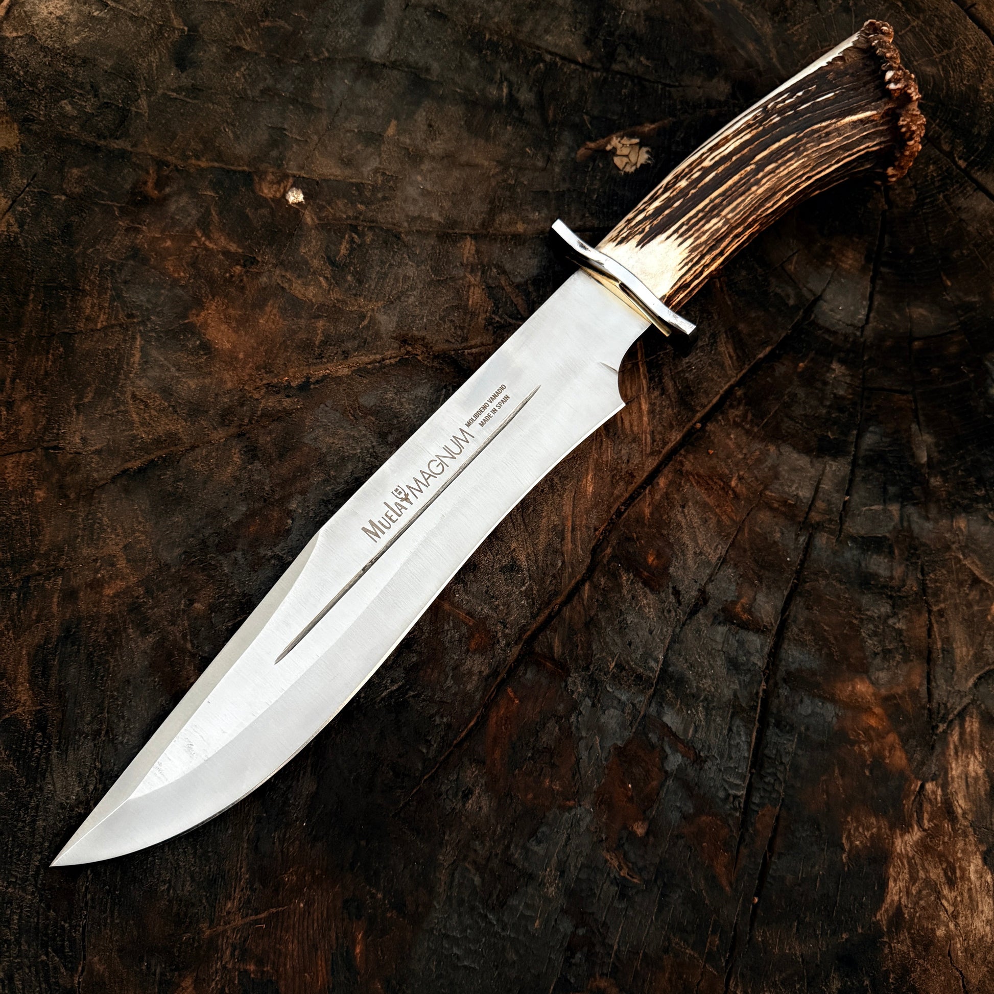 Muela Magnum 26 Stag Handle Bowie Knife – Spanish Classic Fixed Blade Unique Blades Runner